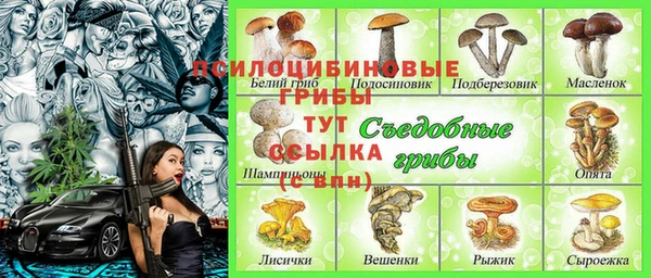 трава Арсеньев