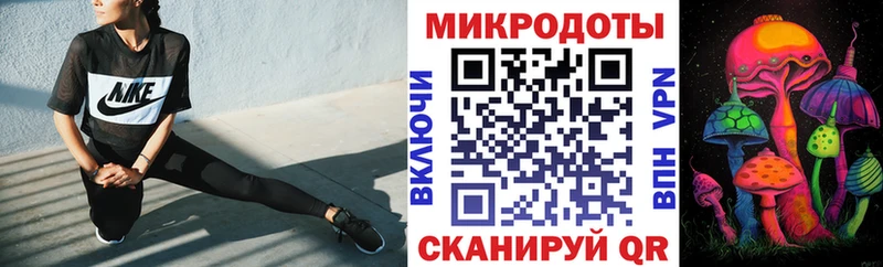 купить наркотики сайты Полесск Псилоцибиновые грибы мицелий